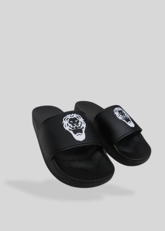 HERC. Slides